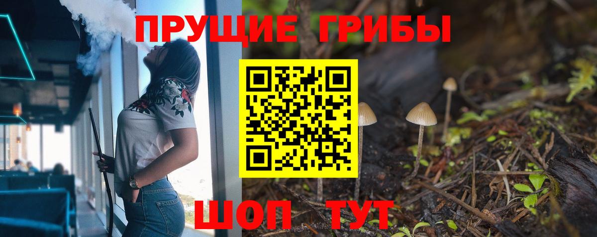 Бутурлиновка  Псилоцибиновые грибы Psilocybe  Вход с VPN 
